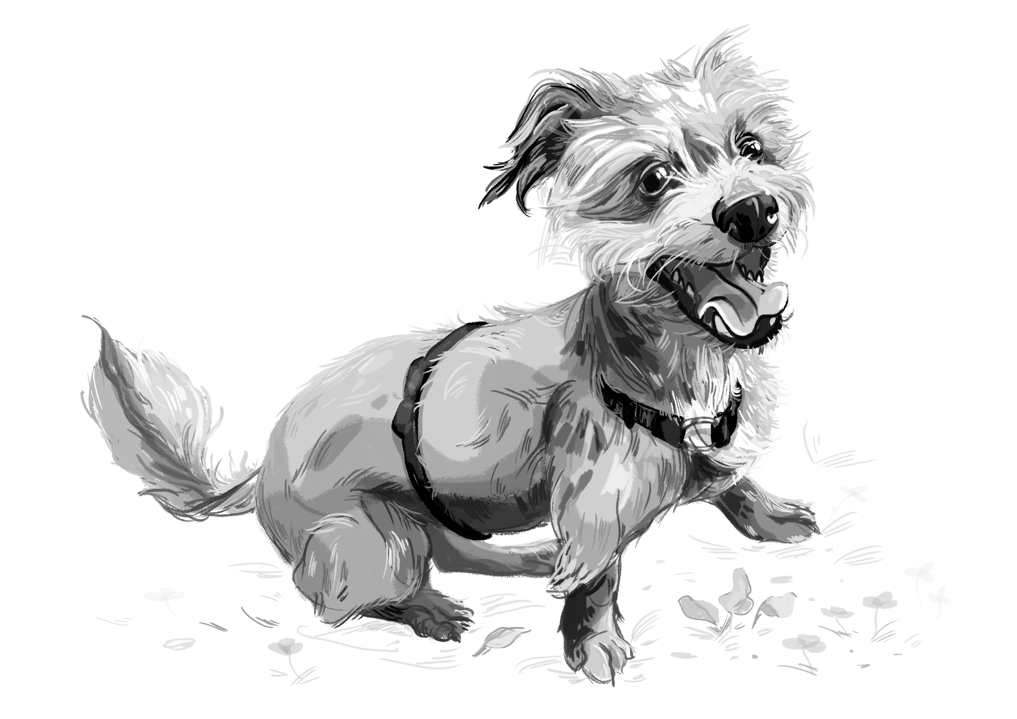 portret catel alb-negru