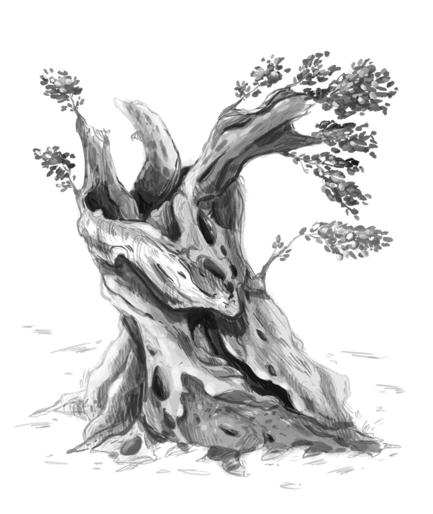 un maslin distrus dar inca cu cateva ramuri verzi