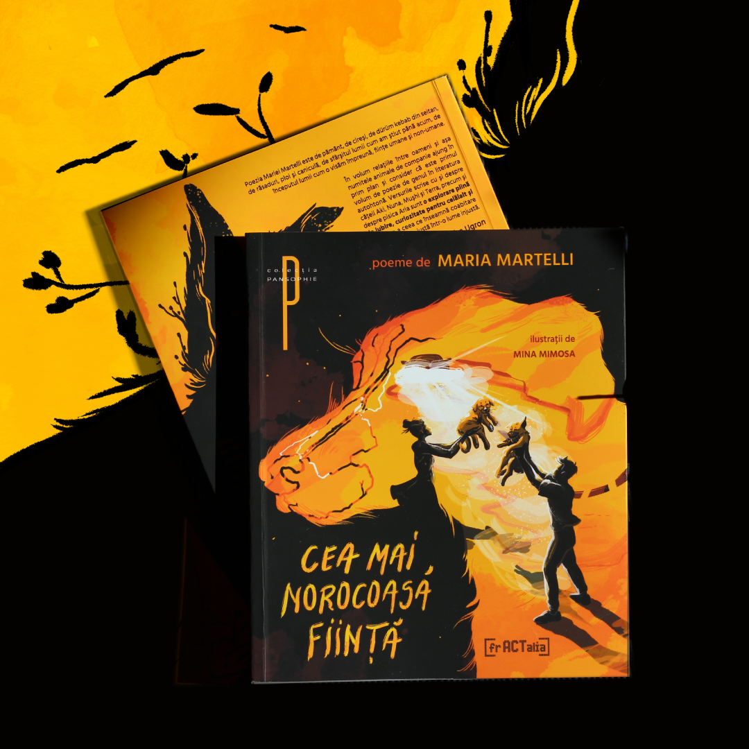 cover and book illustrations