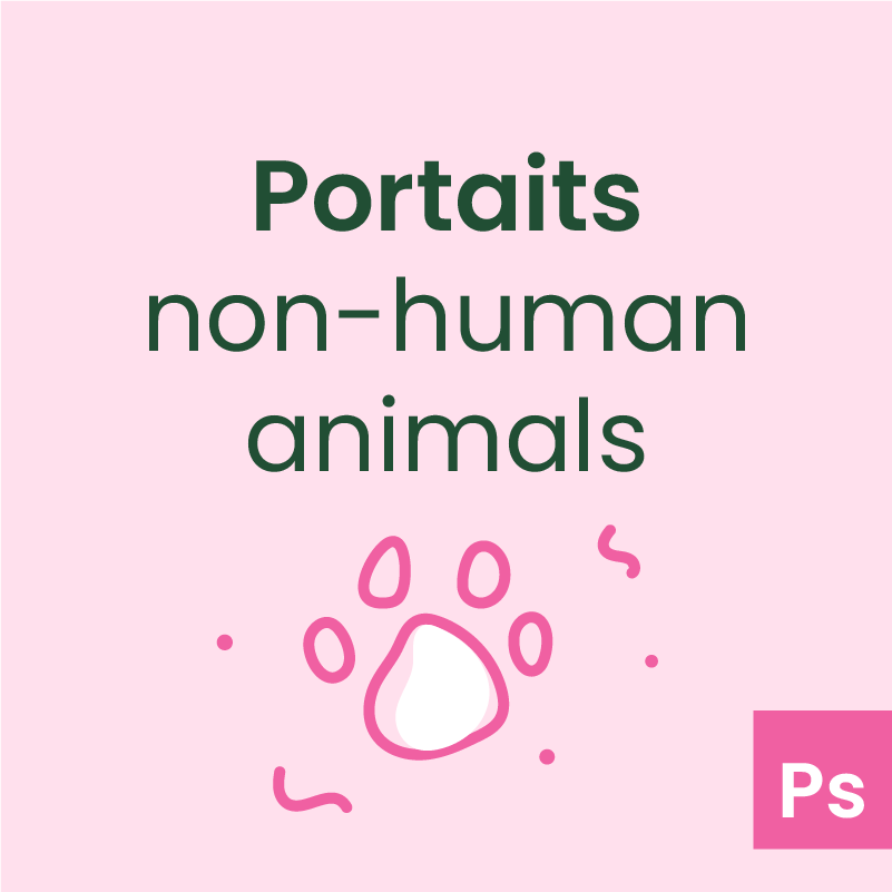 Serviciu-portrete