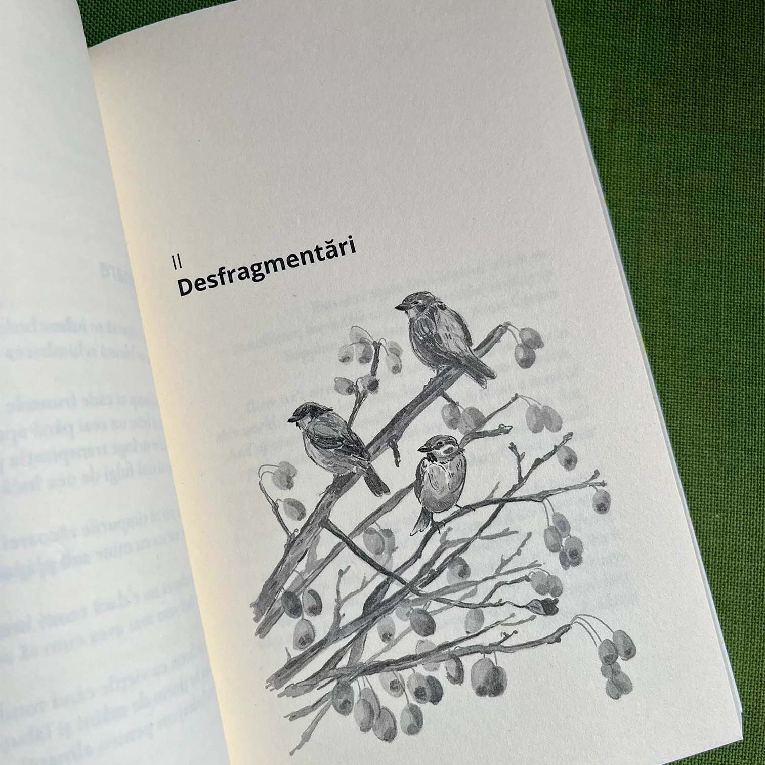 imagine ilustratie pasari